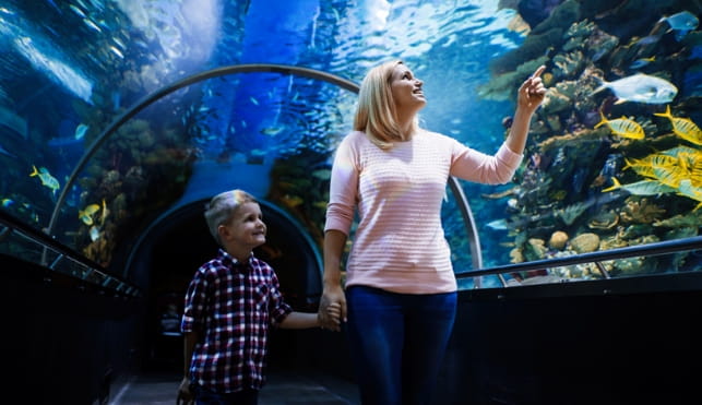 Woman and child at a underwater aquarium